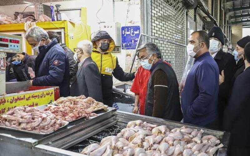 جوجههای یک روزه به دلیل کاهش تقاضای مرغ زنده به گور شدند جوجههای یک روزه به دلیل کاهش تقاضای مرغ زنده به گور شدند