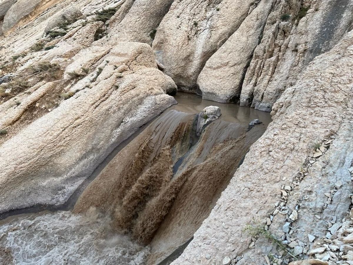 با «گیاه پالایی» میشد جلوی بحران کوهرنگ و شهرکرد را گرفت با «گیاه پالایی» میشد جلوی بحران کوهرنگ و شهرکرد را گرفت