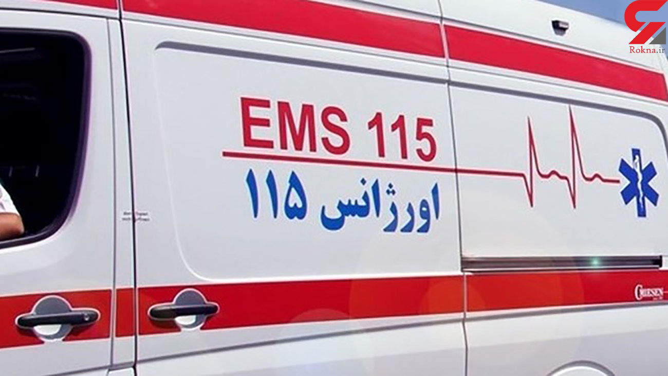 حمله خونین خرس به یک مرد در یاسوج / تصادف زنجیره ای مرگبار 5 خودرو در جاده پل مختار