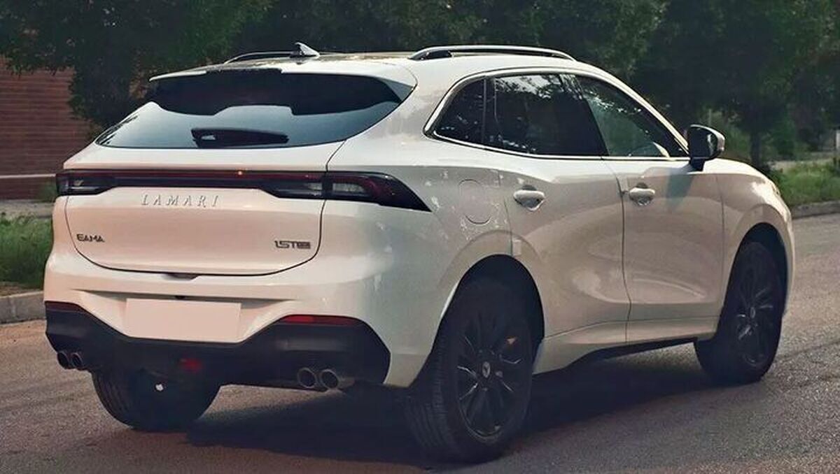 افزایش قیمت شدید لاماری در بازار افزایش قیمت شدید لاماری در بازار