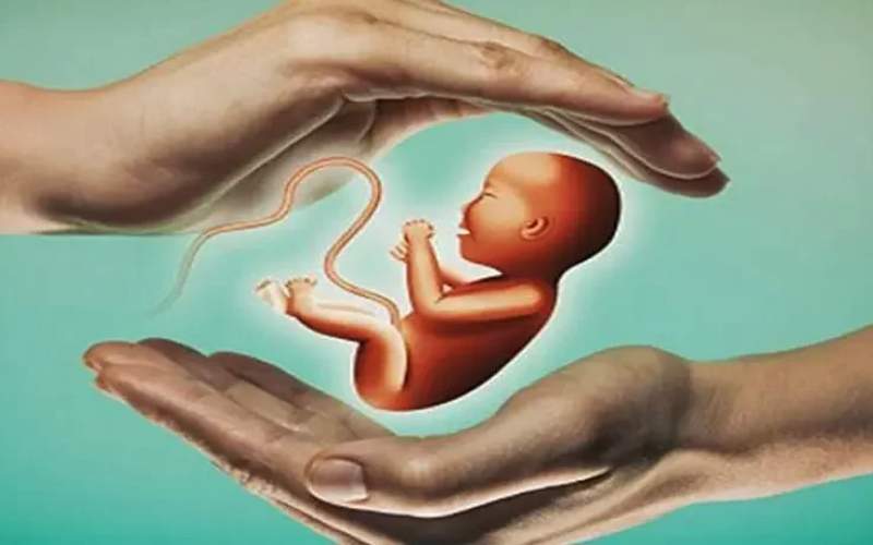 اقتصاد، نگرانی اول خانوادهها برای فرزندآوری اقتصاد، نگرانی اول خانوادهها برای فرزندآوری