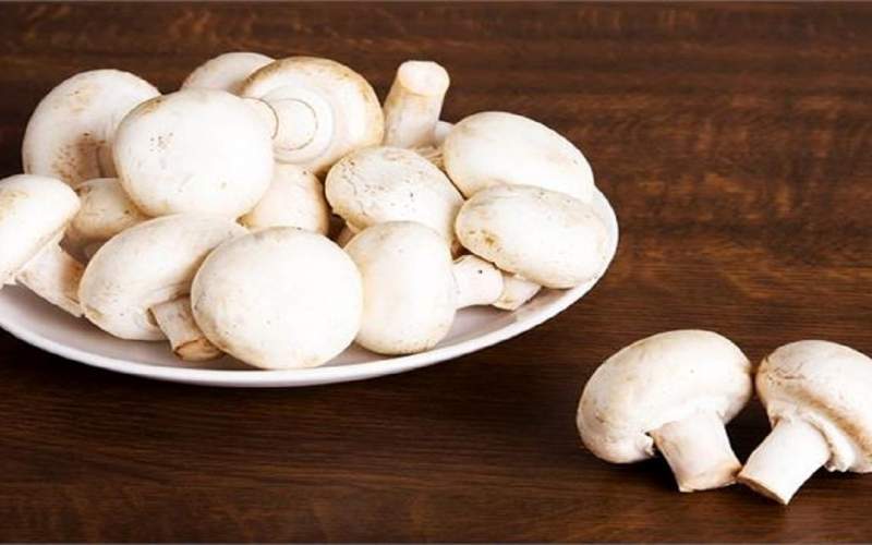 مرغ و گوشت هیچ؛ قدرت خرید قارچ هم از مردم گرفته شد مرغ و گوشت هیچ؛ قدرت خرید قارچ هم از مردم گرفته شد