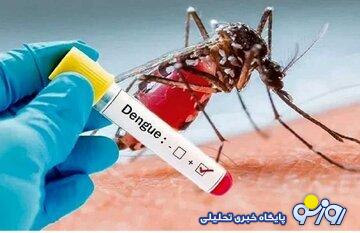 آخرین وضعیت ابتلا به تب دنگی در کشور/ آمار مبتلایان اعلام شد آخرین وضعیت ابتلا به تب دنگی در کشور/ آمار مبتلایان اعلام شد