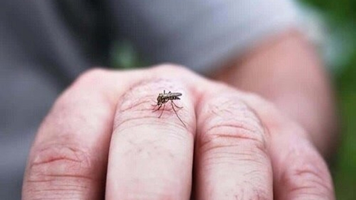 تب دنگی، خاطرات تلخ کرونا را تکرار میکند؟