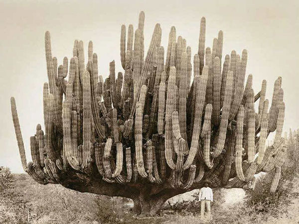 این عکسها ثابت میکنند که چقدر 100 سال پیش متفاوت بوده!