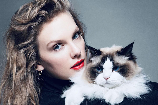 نسخه زنانه تتلو در آمریکا، خاطرهها را زنده کرد