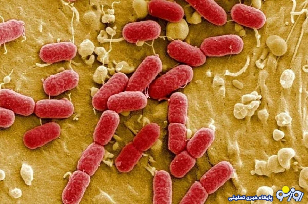 قاتل جدیدی که جان ۳۹ میلیون نفر را خواهد گرفت! قاتل جدیدی که جان ۳۹ میلیون نفر را خواهد گرفت!