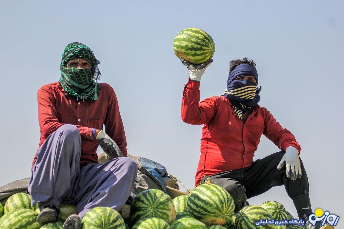 پنج شگفتی در گزارش رسمی تورم خوراکی پنج شگفتی در گزارش رسمی تورم خوراکی