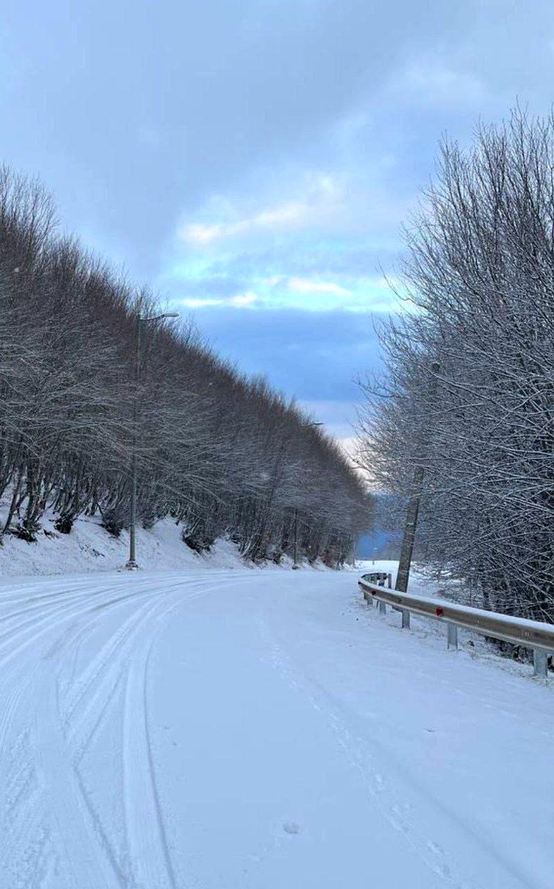 در این استان ها امروز برف شدید می بارد در این استان ها امروز برف شدید می بارد
