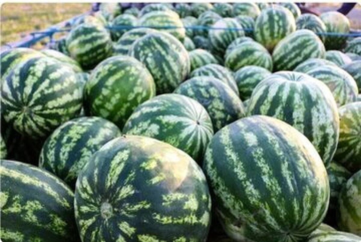 یارانه ایرانی‌ها در جیب افغان‌ها/ خیانت ملی افشا شد