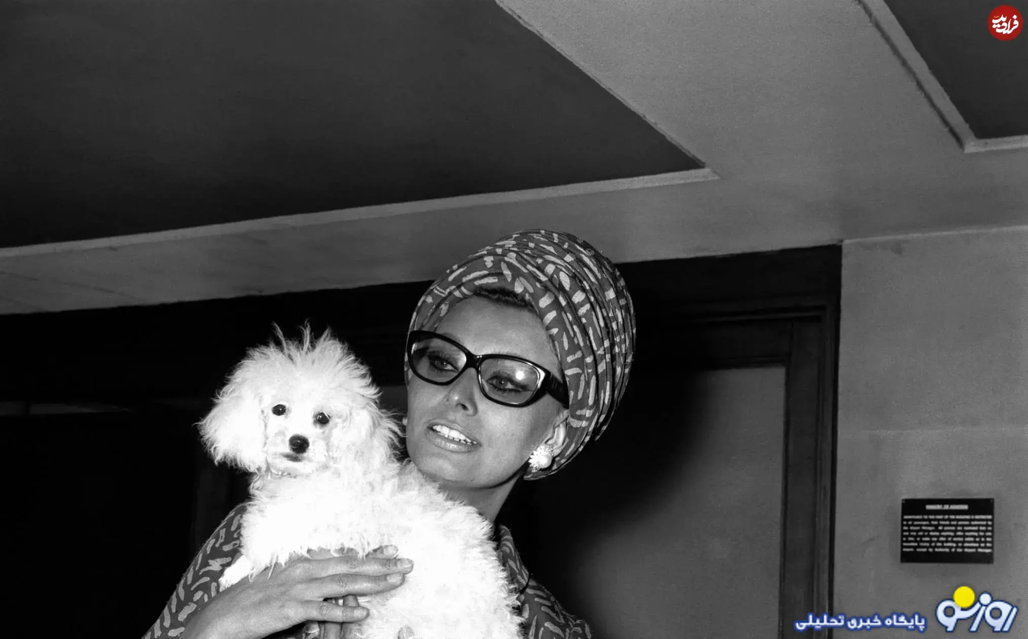 «سوفیا لورن» به همراه سگ اش