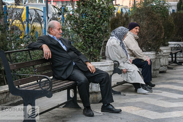 میانگین سن بازنشستگی رسما اعلام شد/ تعداد حقوقبگیران تغییر کرد + جزییات میانگین سن بازنشستگی رسما اعلام شد/ تعداد حقوقبگیران تغییر کرد + جزییات